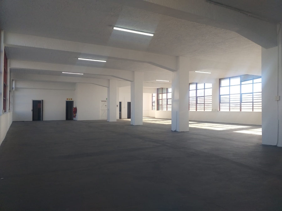 To Let Commercial Property for Rent in Paarden Eiland Western Cape